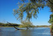 Ахтуба – река интересная