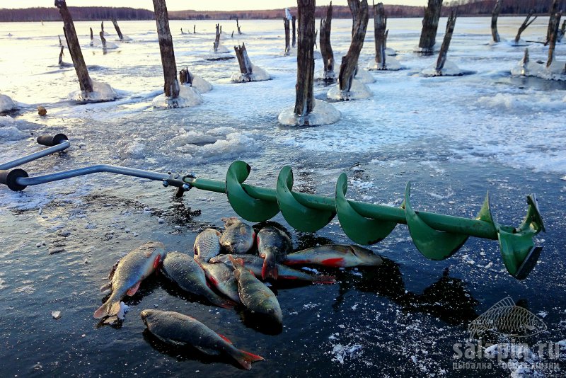 Кто бы мог подумать, что 25 октября будем открывать "первый лед"?! Те "дурачки", которые решились выйти на лед в Переславском районе, получили прекрасную зимнюю погоду и удачную рыбалку.Окунь привередничал, покрупнее приходилось искать и уговаривать. Мелкого - море!Чертик, естественно, рулит!