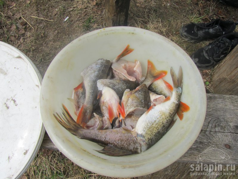 Пора и пообедать, время подошло.Нашёл фото с первого выпуска "Рыбацкий дневник!" Яузское водохранилище 2013 год.Хорошая рыбалка тогда получилась.ПРИЯТНОГО АППЕТИТА!