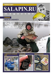 salapin.ru magazine N8.2011