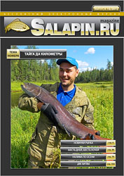 salapin.ru magazine N15.2012