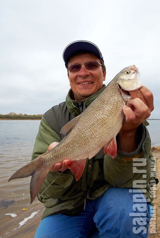 Last fish. Никакой рыбы.