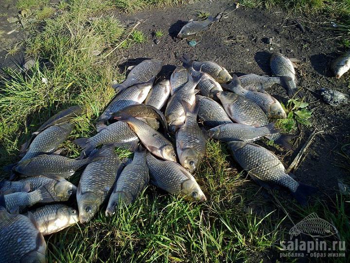 Челябинские озера какая рыба водится. Узункуль Челябинская область. Оз Узункуль Челябинская область. Озеро Узункуль. Озеро Узункуль рыбалка.