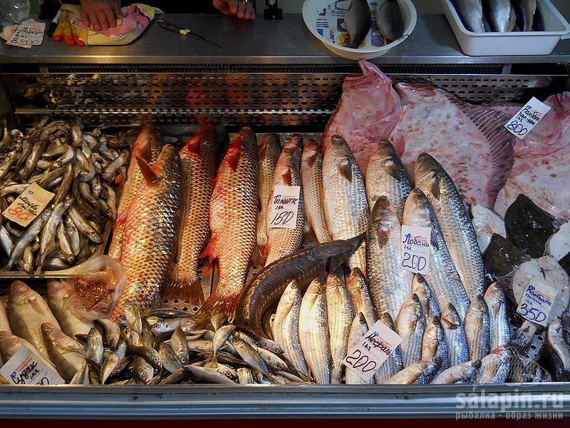 Купить рыбу в рязани. Рыба на рынке. Рыба на прилавке. Прилавок с рыбой на рынке. Рыба в ассортименте.