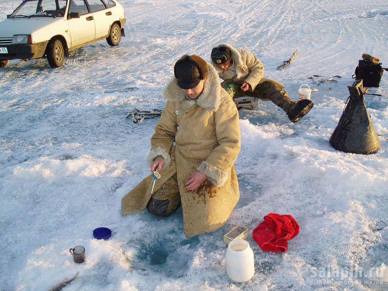 В этом резиновом конусе живцы поедут дальше.