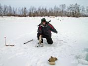 Возле небольших речушек вдоль берегов Байкала хозяйничает налим.