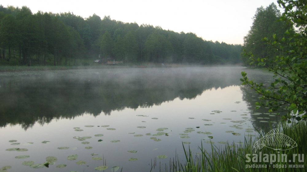 Мое рыболовное место.