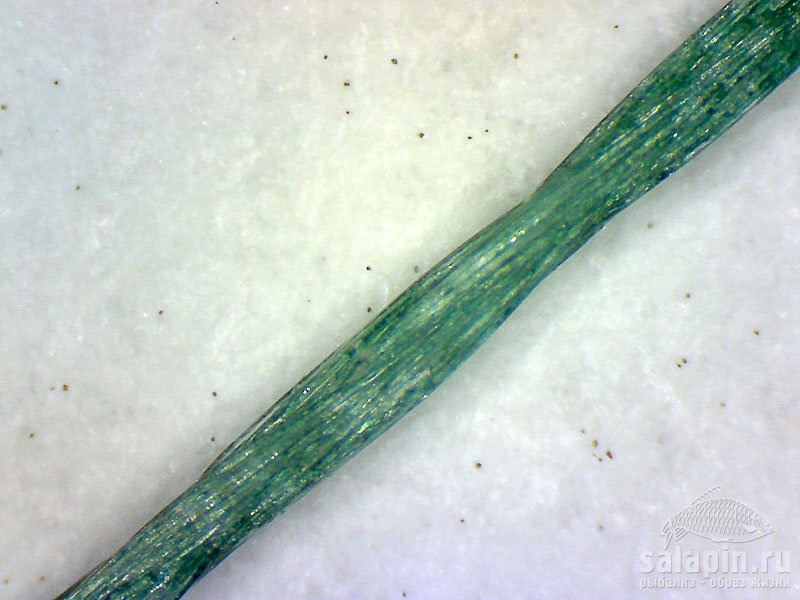 Плетенка Sabaneev Tenzor 0,1 мм / 6,45 кг под микроскопом