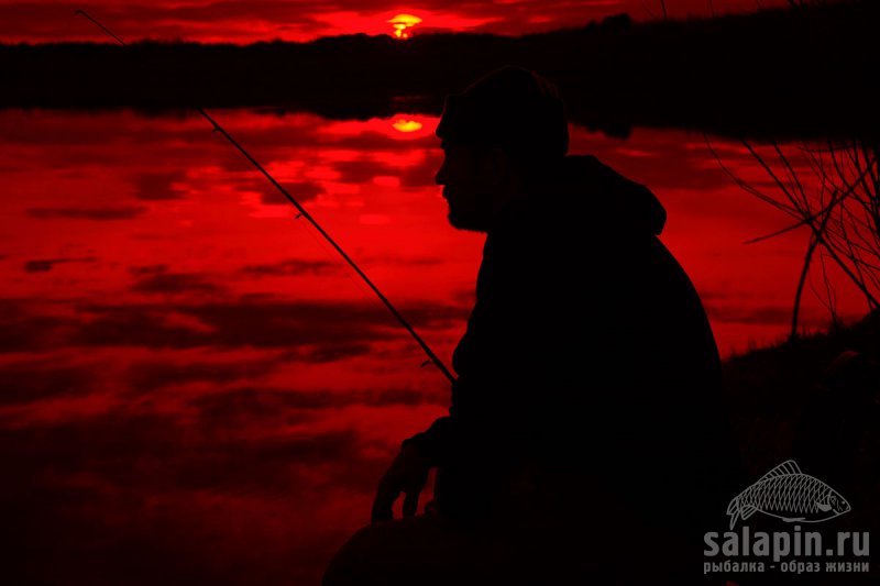 Видео рыбалка осенью на Ахтубе
