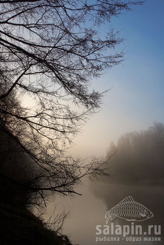 Малые реки Тверской области отличаются особенной крассотой