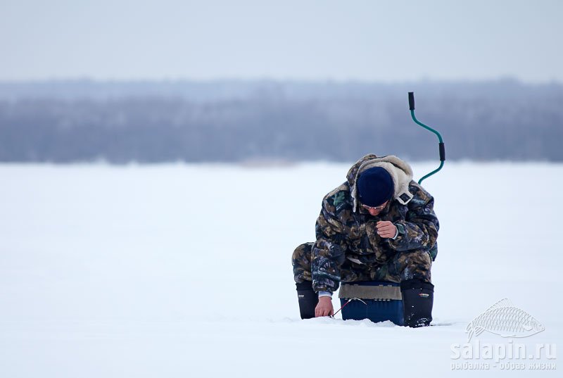 Соседей было немного, но для такого удаленного от цивилизации места достаточно