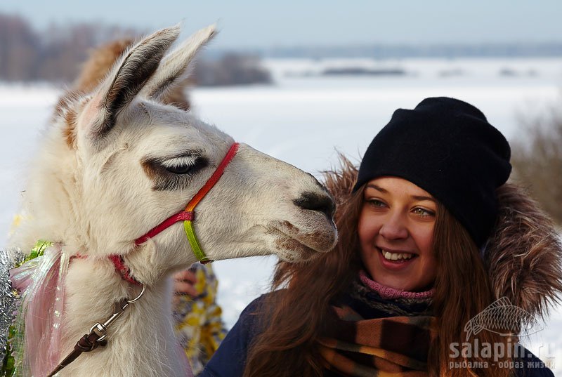 ... а с Вами мы еще не целовались!