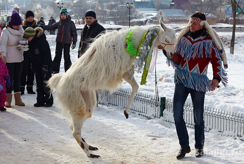 Танцы на снегу