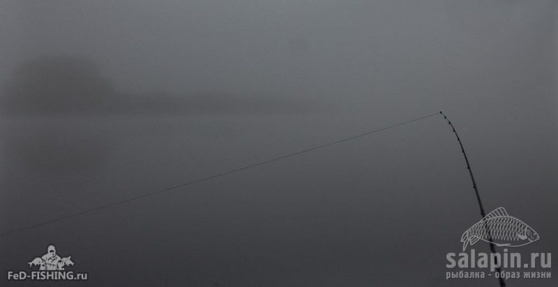 Идеальное утро. Туман, зеркальная гладь воды, ни ветерка и легкая прохлада. Лучших условий для рыбалки мне не придумать!