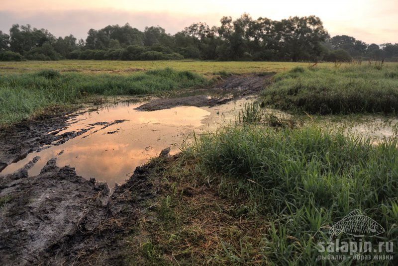 Три вот таких канавы с водой пришлось форсировать босиком, чтобы добраться до реки. Врачи рекомендуют.