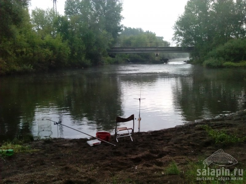 Был вчера на речке помокал кормушку,вода упала и рыбка куда то свалила.