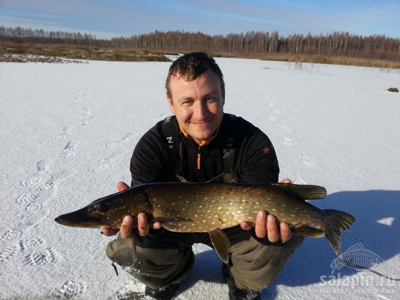 Вчера открыли сезон твердой воды...в Ярославской обл..лед 8 см.поймано 11 зубастых ..самая большая 3 кг