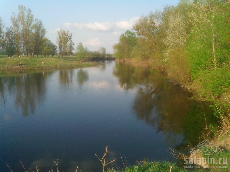 База отдыха в Подмосковье на берегу Истринского водохранилища