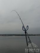 Городская рыбалка
