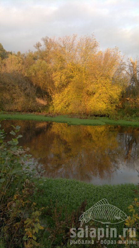 Съездил в Орловскую область по хлестать воду шнуром. Все таки у осени есть своя красота.