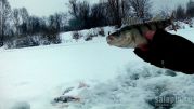 зимняя рыбалка на перекате