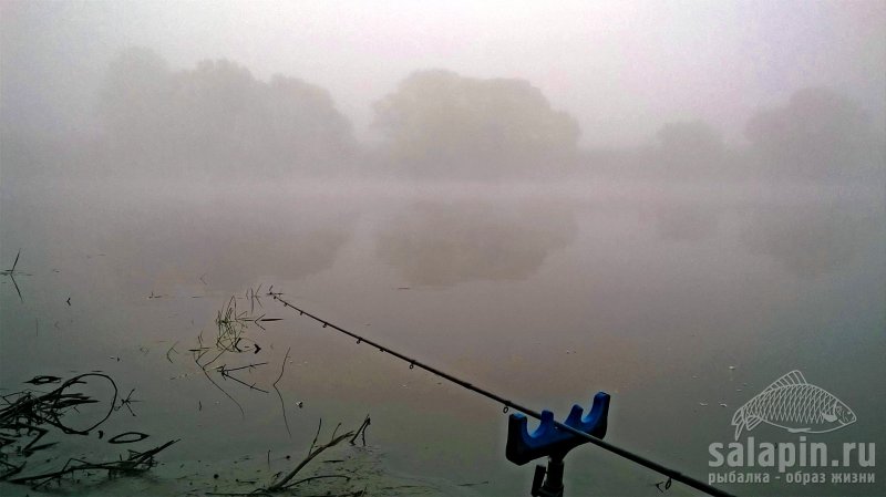 Сегодня после работы заскочил на р Дон Ели доехал, туман такой густой , что можно и заблудится ( Рыбачил всего три часа , В улове карась , хоть мало , но этого хватило чтобы получить удовольствие от рыбалки ,