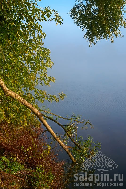 На берегу красиво