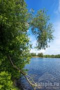 Летом на Москва-реке красота!