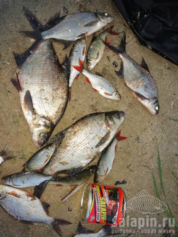 Половили рыбку на нашем водохранилище в компании с Александром, ночьная рыбалка пролетела не заметно... Хотя изредка налетал дождь (((Ну всёже мы свою рыбу поймали,  на кормили)))))