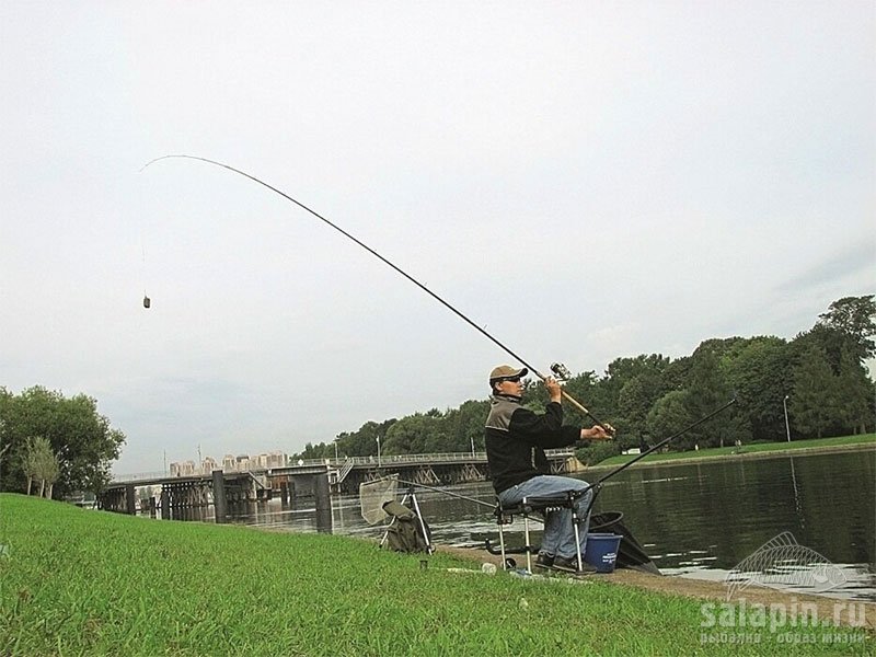 Фото 2 (http://rsn.ru/pubs/bottom-fishing/24885/)