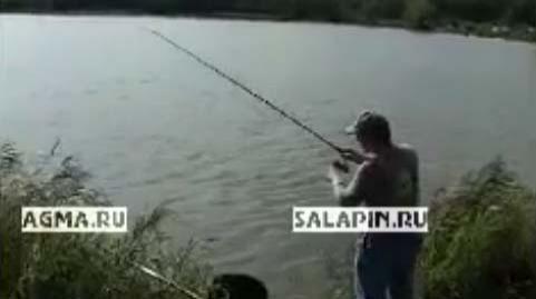 фидер рыбалка на платном пруду видео