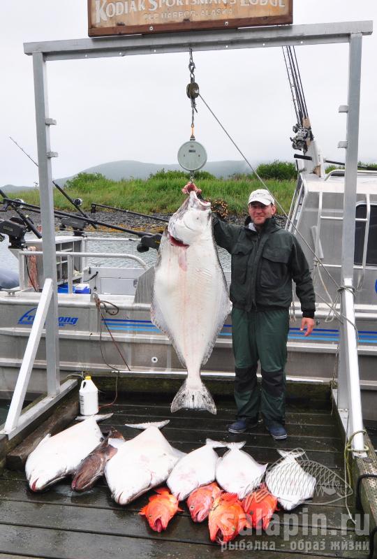 Pacific Halibut, Yelloweye Rockfish