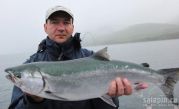 King (Chinook)Salmon