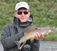  Arctic Grayling