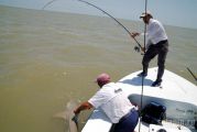 Miami  Fishing