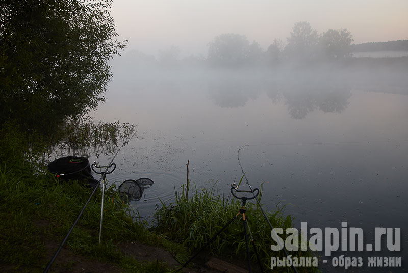 Утро очень раннее, а в садке уже кое-кто есть ;)