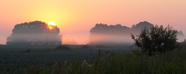 Слой июльского тумана над полями
