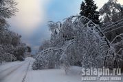 Красивые последствия снегопада в Смоленской области