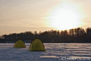 Желтый цвет палатки - хит сезона