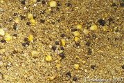 Прикормка FishBait карп конопля + карп ананас, темные точки это 5мм FishBait пеллетс