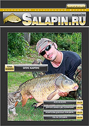 salapin.ru magazine N19.2013