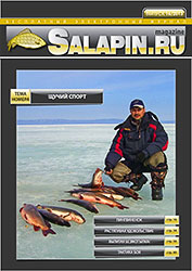 salapin.ru magazine N16.2013