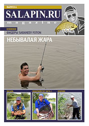 salapin.ru magazine N6.2010