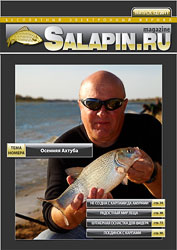 salapin.ru magazine N12.2011