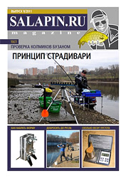 salapin.ru magazine N9.2011