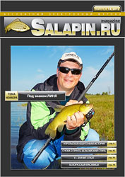 salapin.ru magazine N14.2012