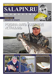 salapin.ru magazine N7.2010