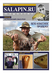 salapin.ru magazine N2.2009