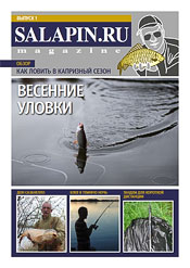 salapin.ru magazine N1.2009
